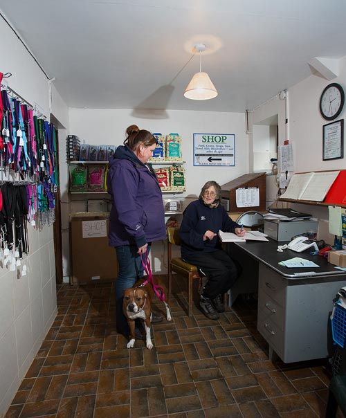 Field house boarding outlet kennels