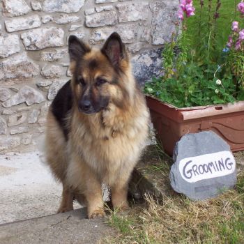 Martha and Grooming sign