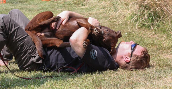 relaxed-dog-and-owner